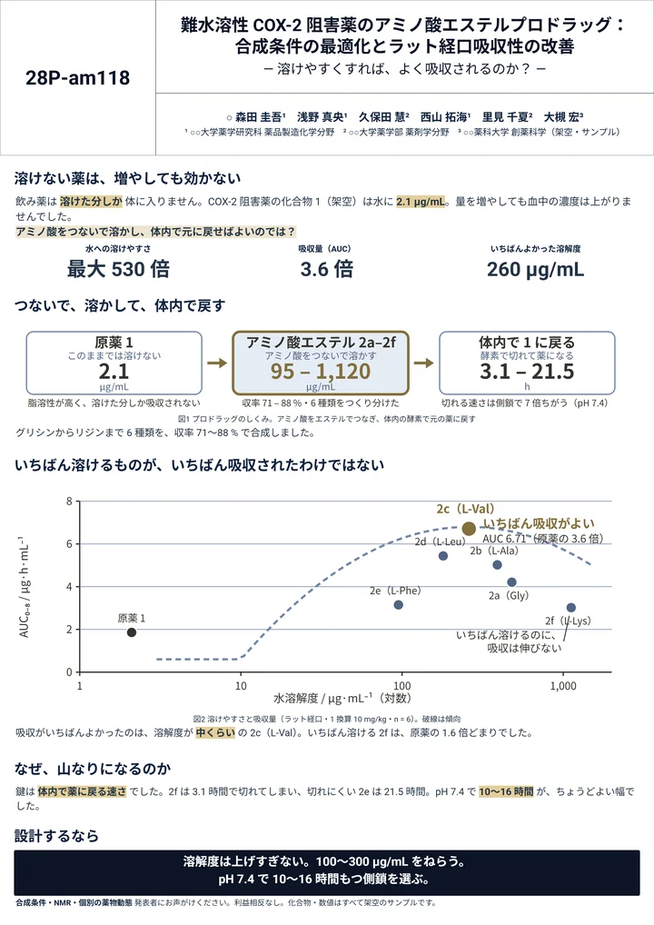 難水溶性のCOX-2阻害薬のアミノ酸エステルプロドラッグのポスター作例