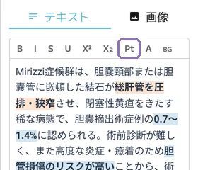 文字の大きさを pt で指定の操作画面(マニュアルより)
