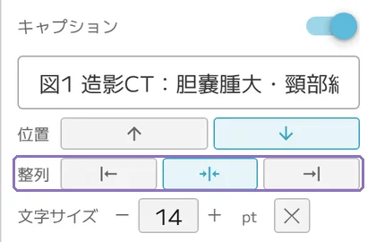 キャプションの揃えの操作画面(マニュアルより)