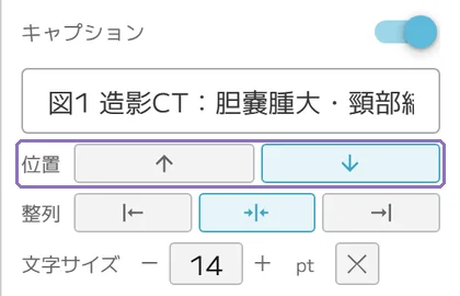 キャプションの位置の操作画面(マニュアルより)