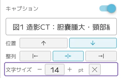キャプションの文字サイズの操作画面(マニュアルより)