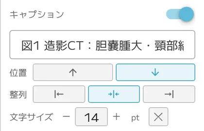 画像のキャプションの操作画面(マニュアルより)